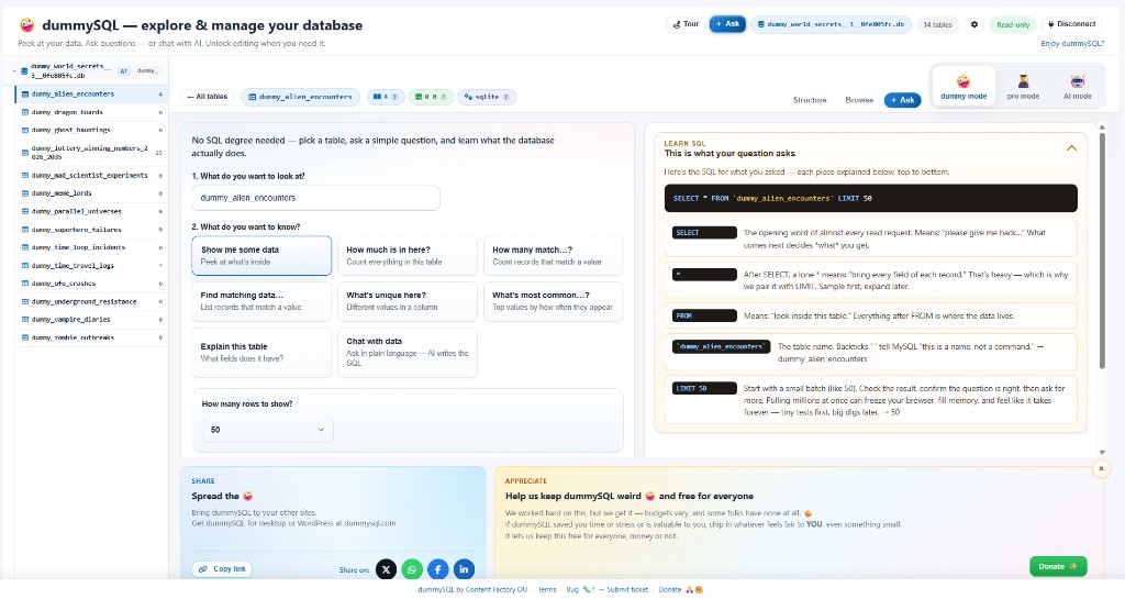 dummy mode guided questions